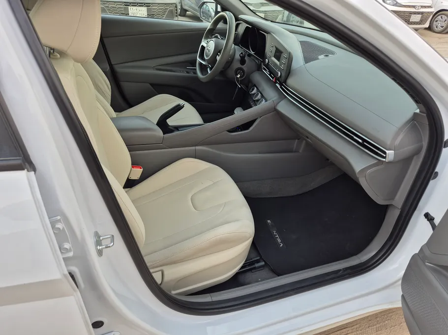 2023 Hyundai Elantra Fleet 