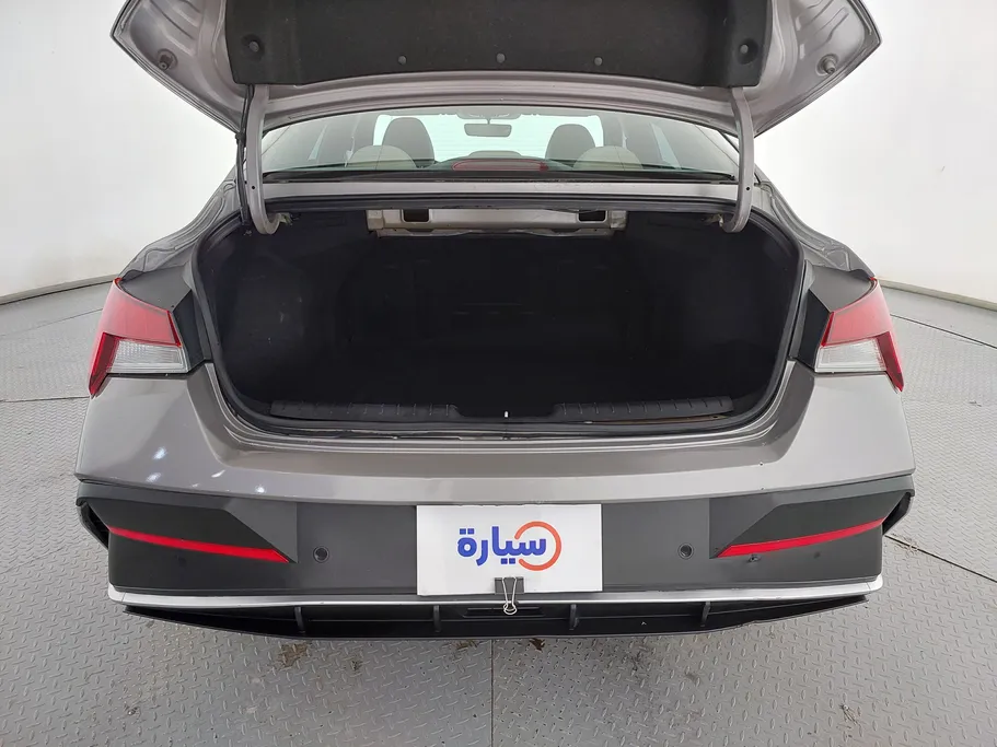 2024 Hyundai Elantra Fleet 