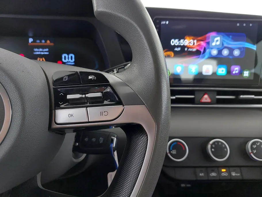 2024 Hyundai Elantra Fleet 