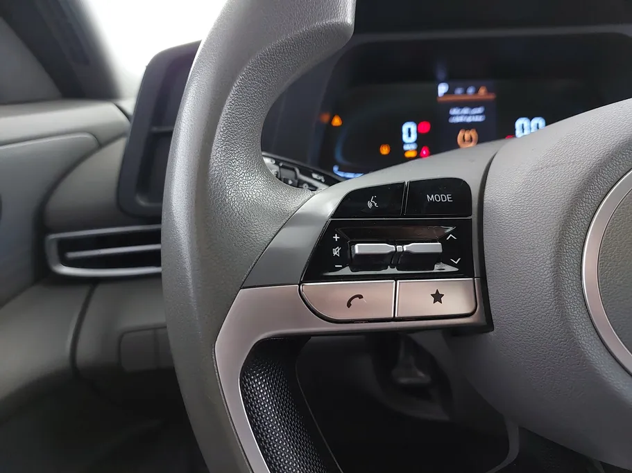 2024 Hyundai Elantra Fleet 