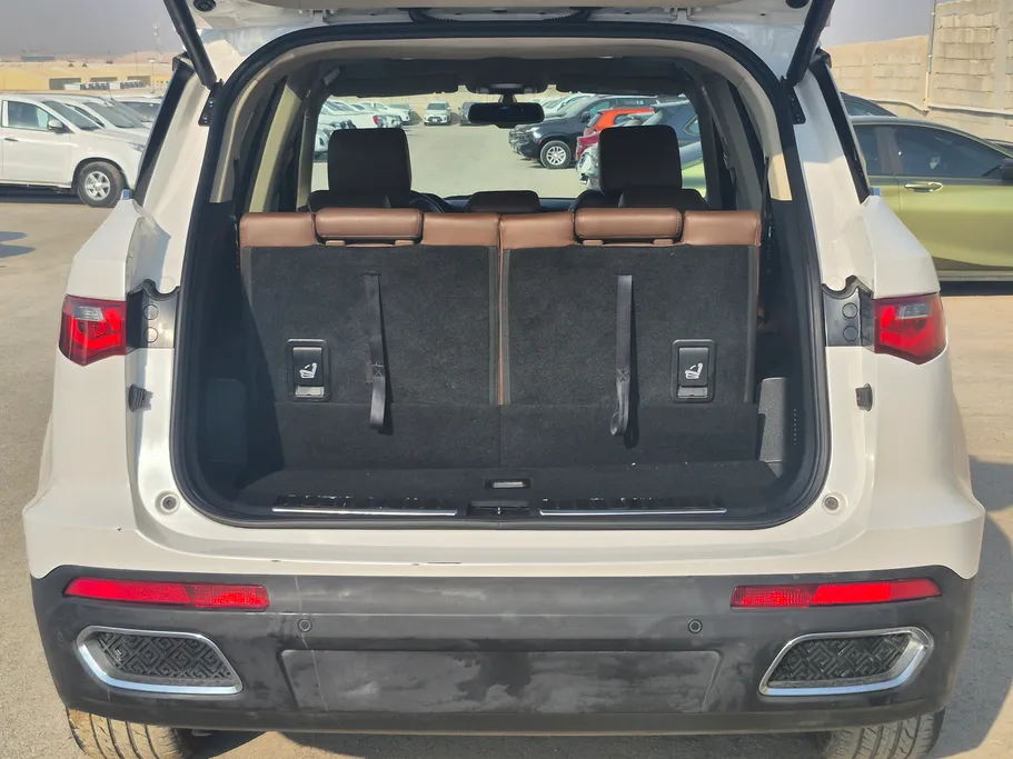2021 Zotye T700L  