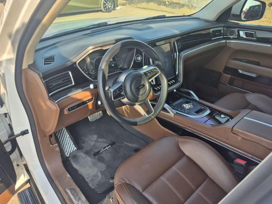2021 Zotye T700L  