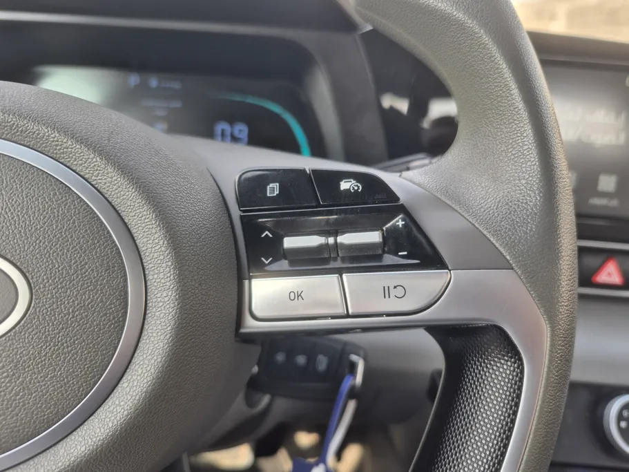 2025 Hyundai Elantra Fleet 