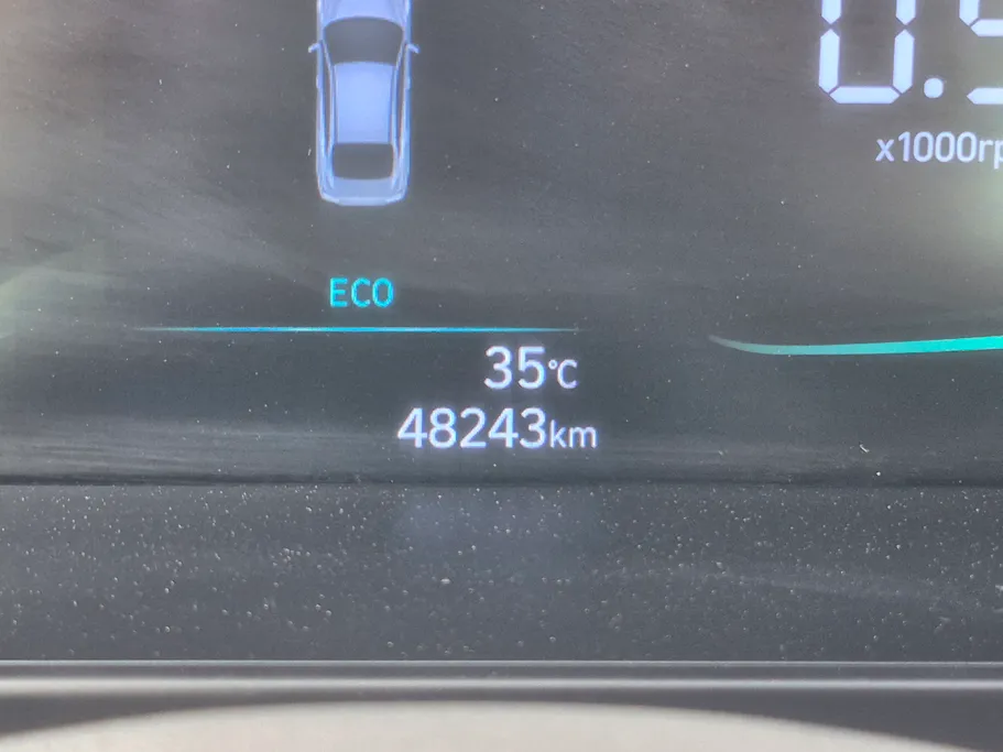 2025 Hyundai Elantra Fleet 