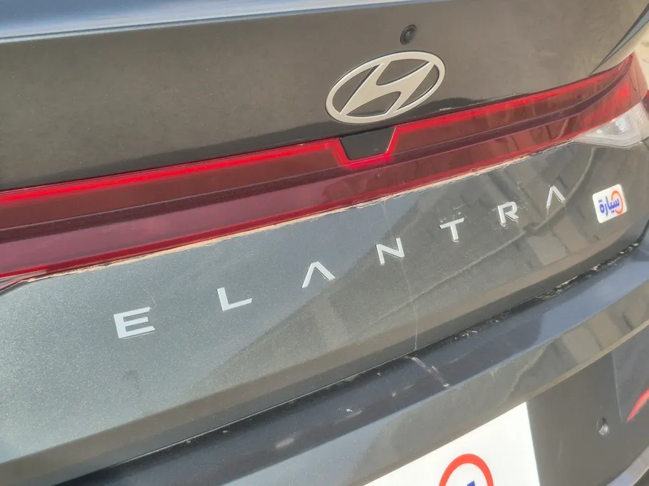 2025 Hyundai Elantra Fleet 