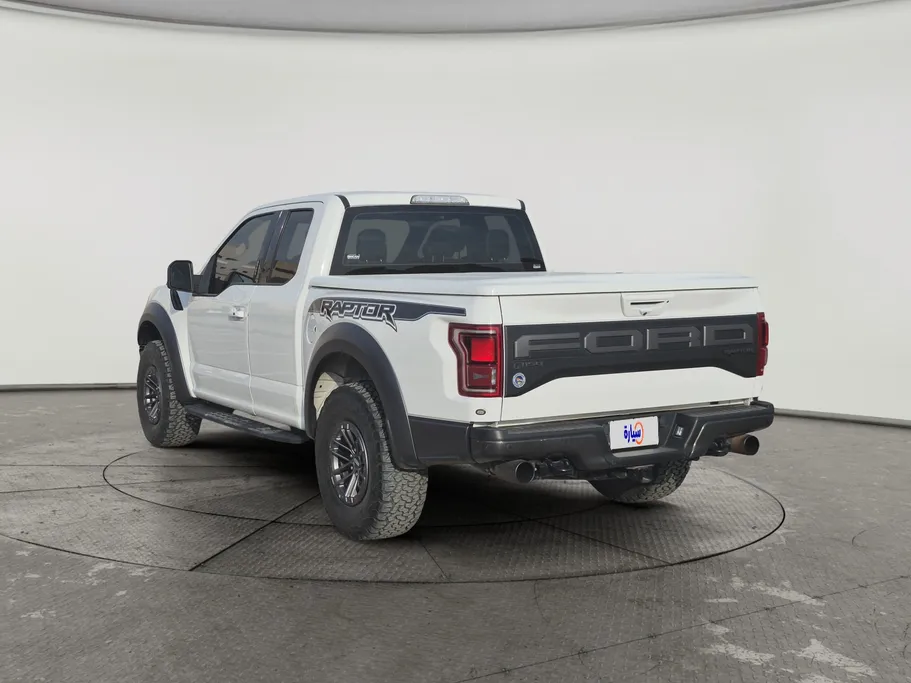 2019 Ford F150 Raptor 