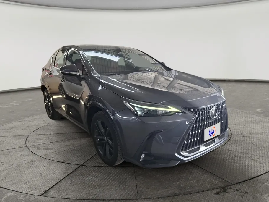 2022 Lexus NX 350h AH 