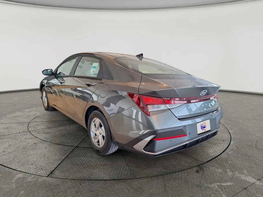 2025 Hyundai Elantra Fleet 
