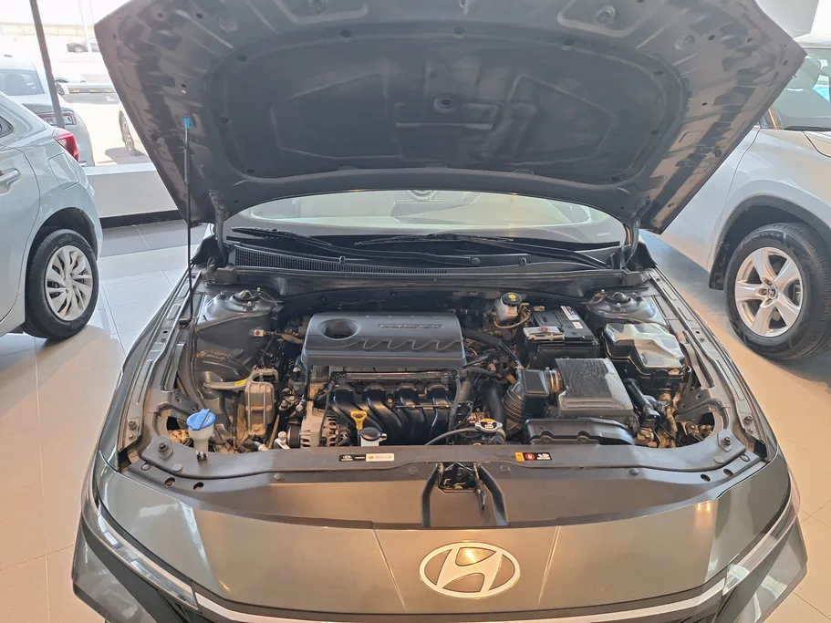 2025 Hyundai Elantra Fleet 
