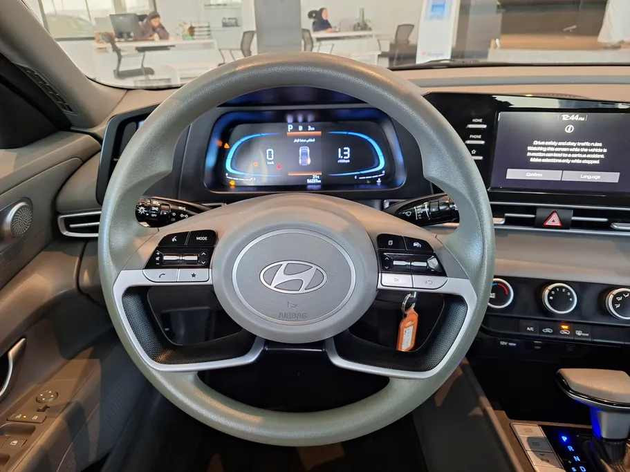 2025 Hyundai Elantra Fleet 
