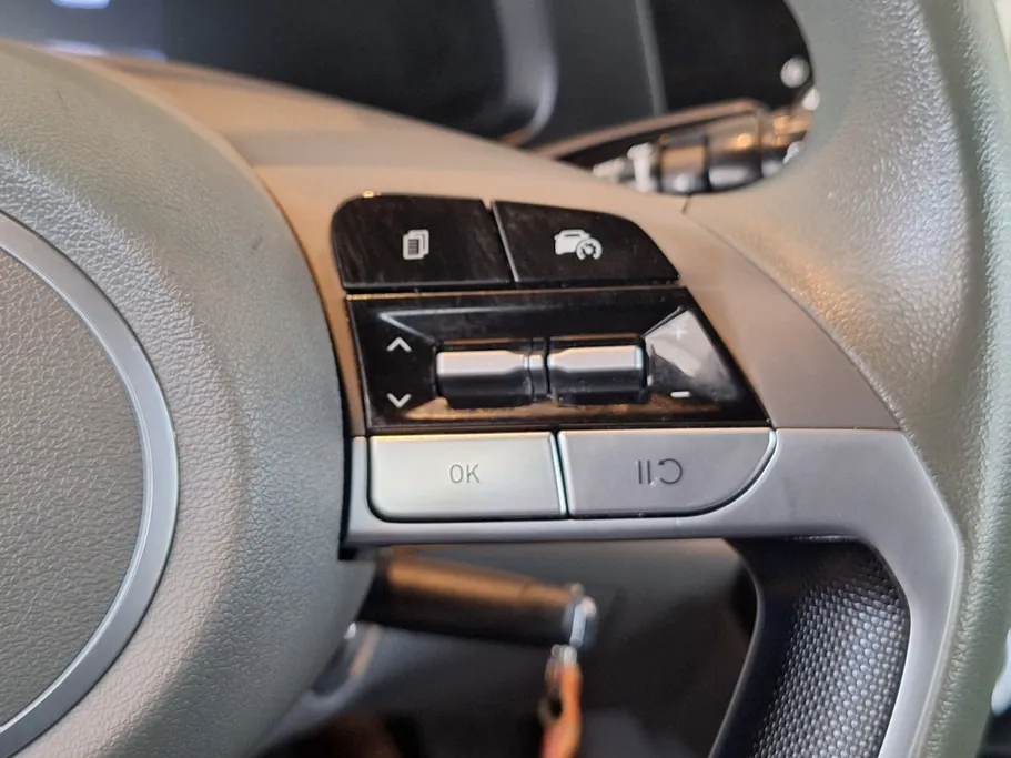 2025 Hyundai Elantra Fleet 