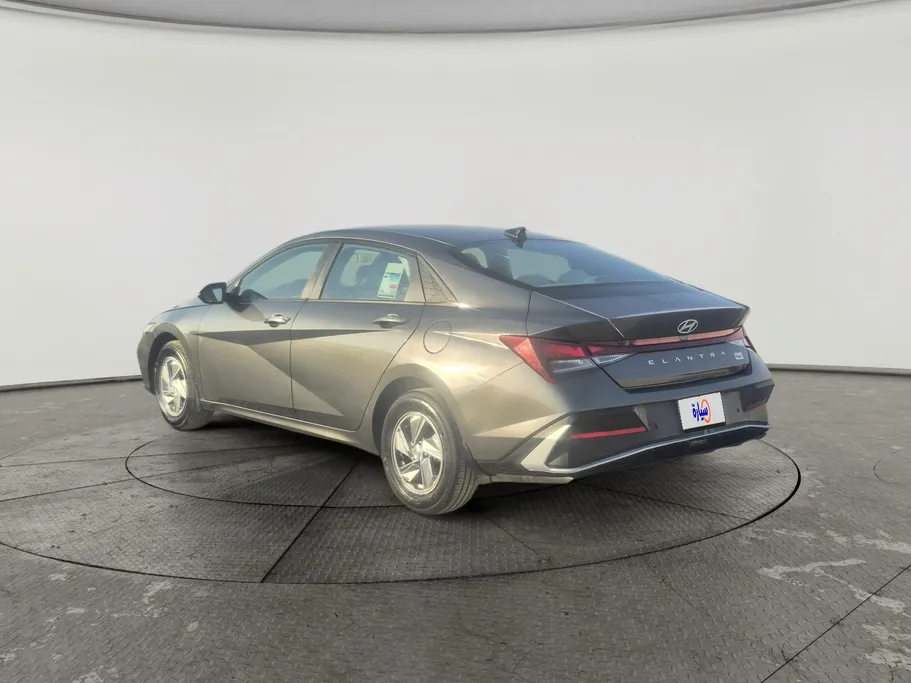 2025 Hyundai Elantra Fleet 