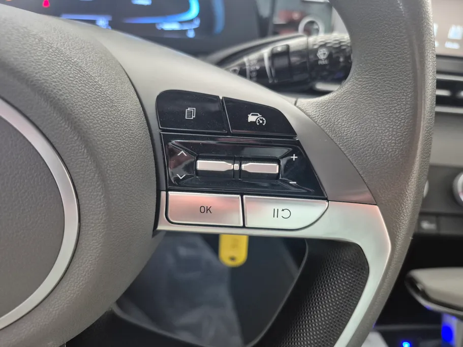 2025 Hyundai Elantra Fleet 