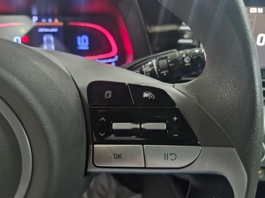 2024 Hyundai Elantra Fleet 
