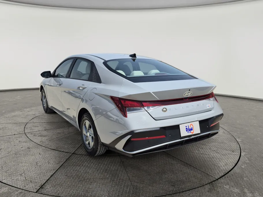 2024 Hyundai Elantra Fleet 