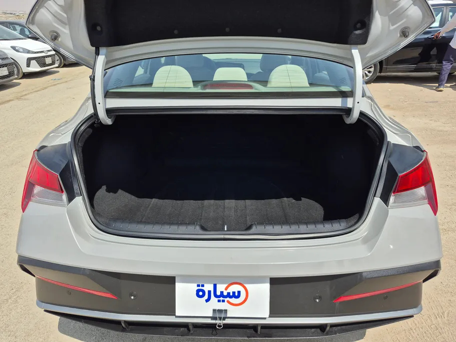 2024 Hyundai Elantra Fleet 