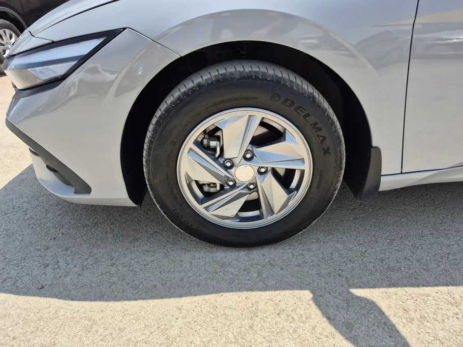 2024 Hyundai Elantra Fleet 