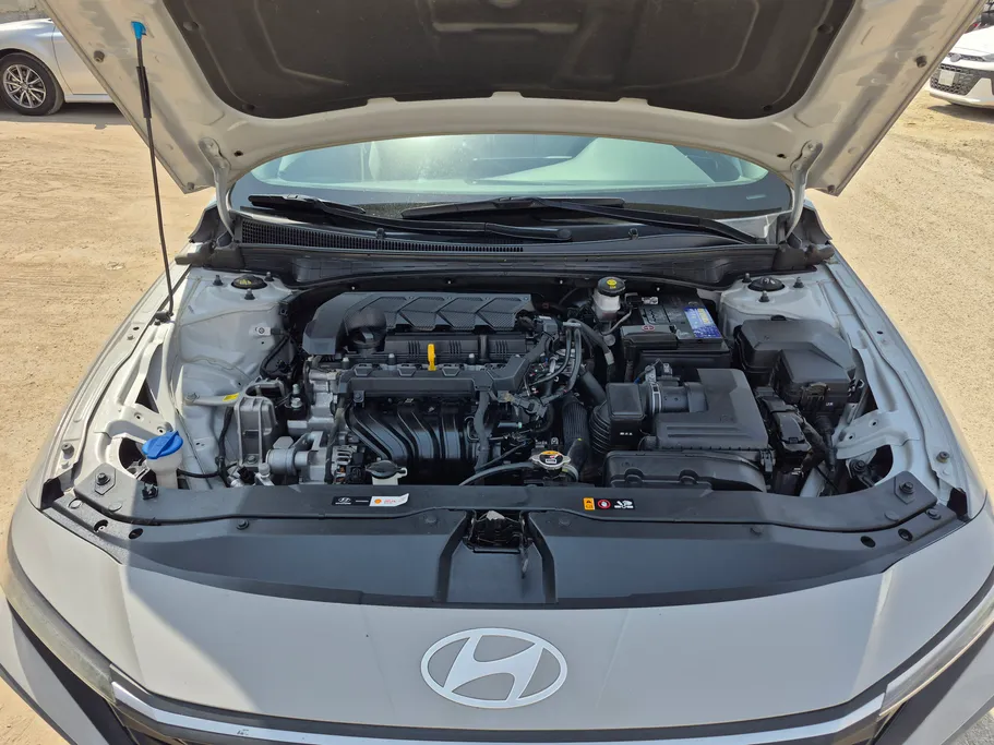 2024 Hyundai Elantra Fleet 