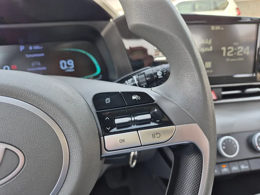 2024 Hyundai Elantra Fleet 