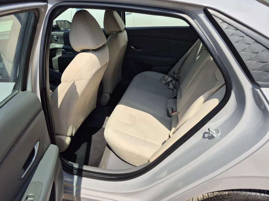 2024 Hyundai Elantra Fleet 