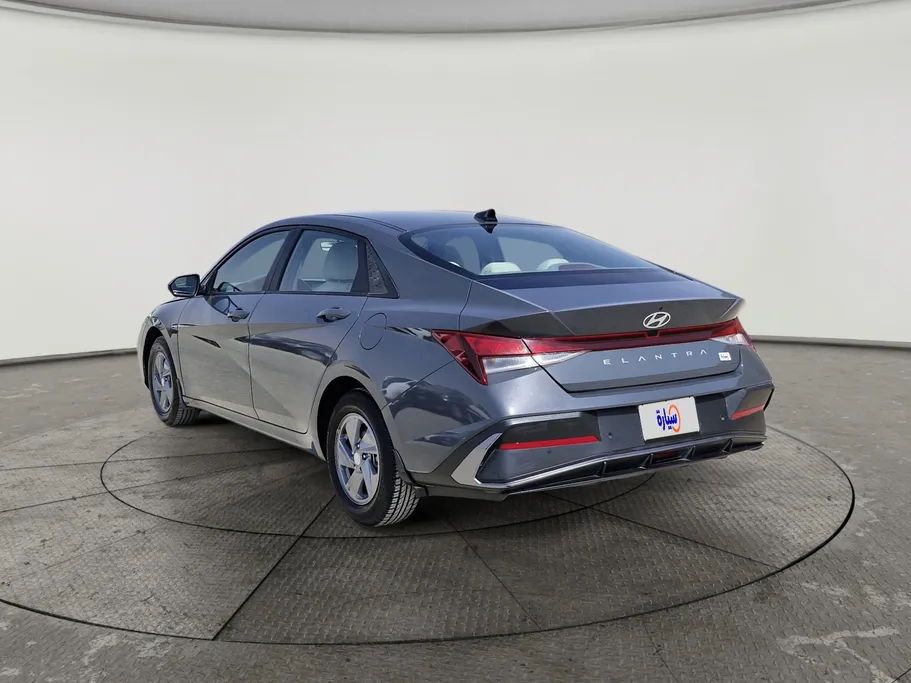 2024 Hyundai Elantra Fleet 