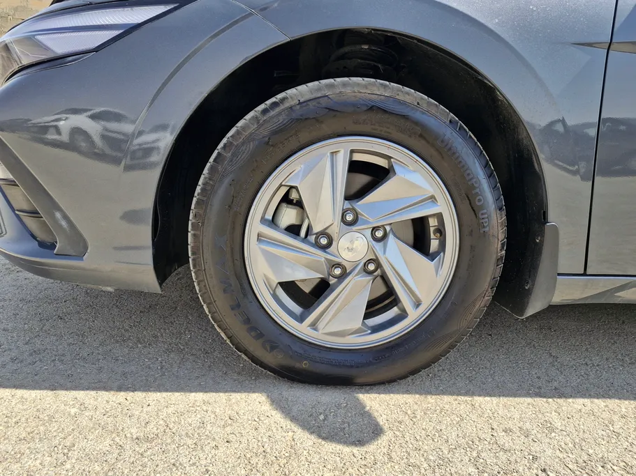 2024 Hyundai Elantra Fleet 