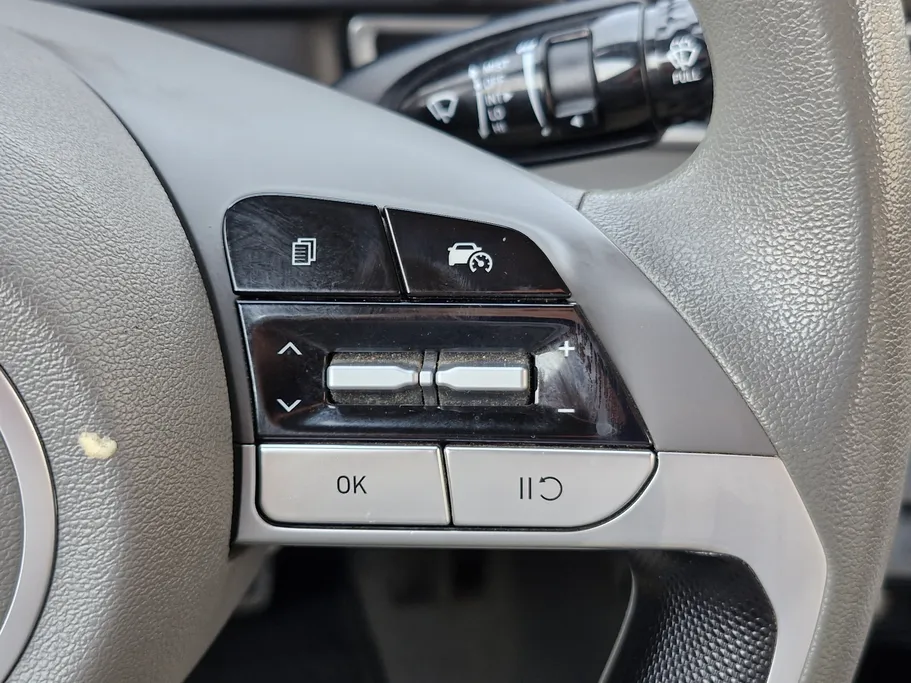 2024 Hyundai Elantra Fleet 