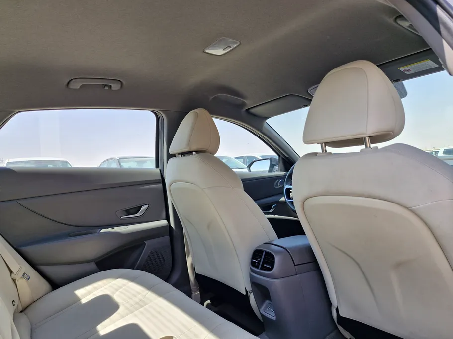 2024 Hyundai Elantra Fleet 