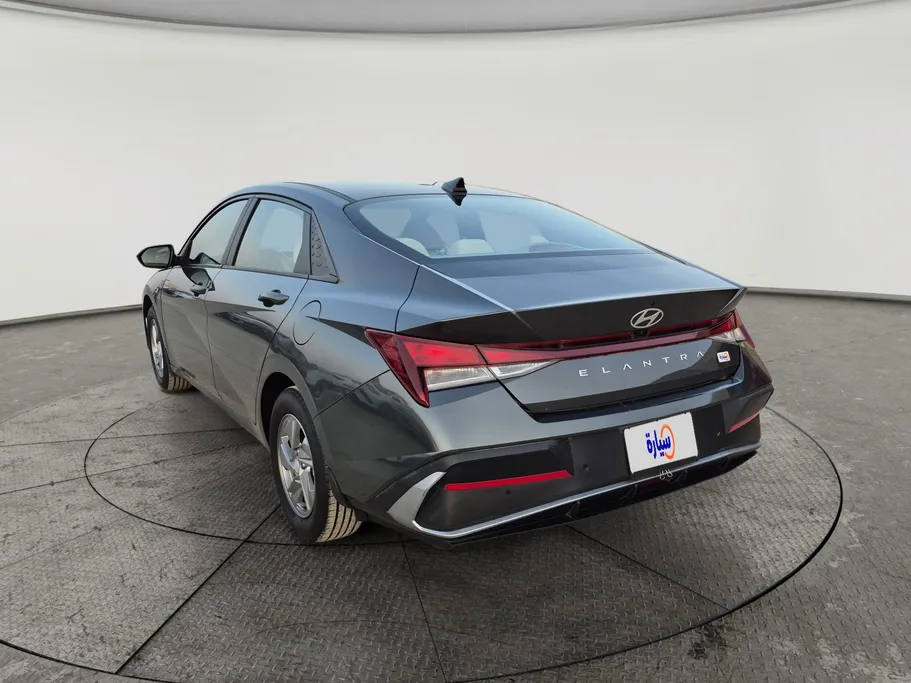 2024 Hyundai Elantra Fleet 