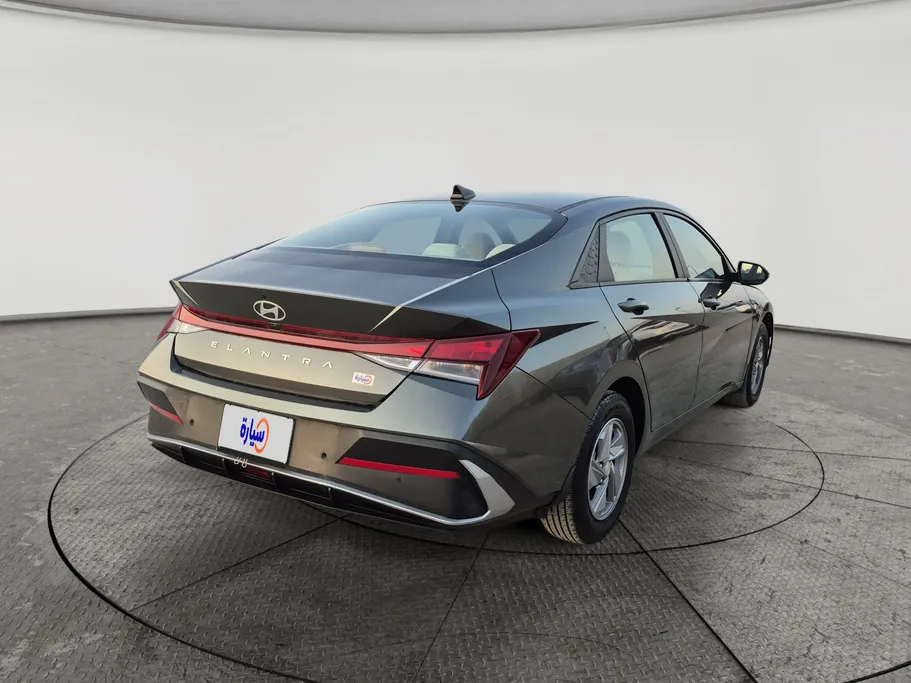 2024 Hyundai Elantra Fleet 