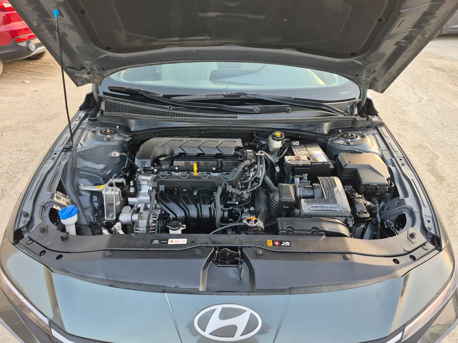 2024 Hyundai Elantra Fleet 