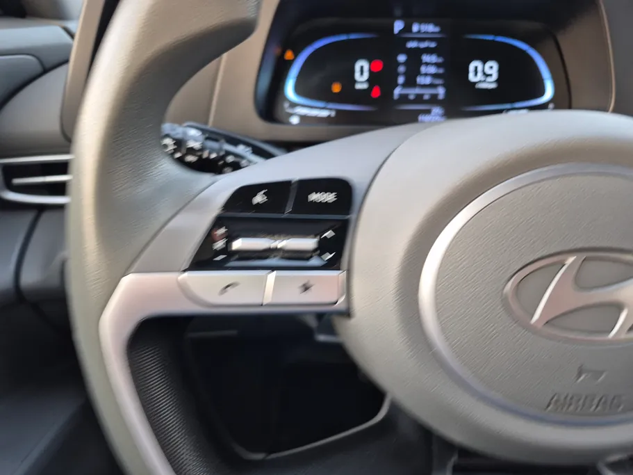 2024 Hyundai Elantra Fleet 