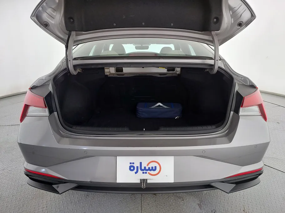 2022 Hyundai Elantra Fleet 