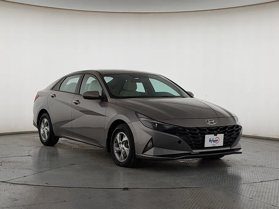 2022 Hyundai Elantra Fleet 