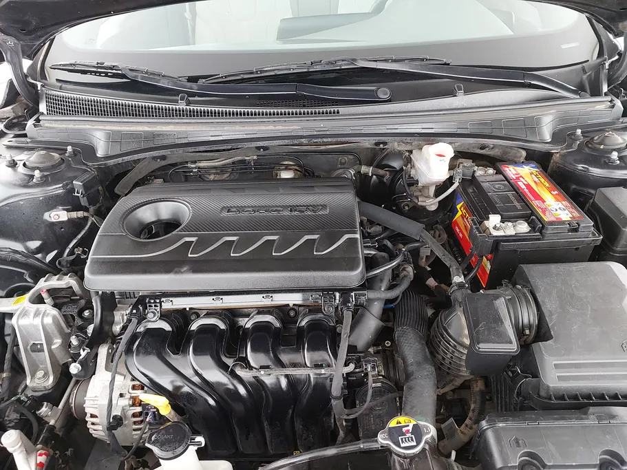 2021 Hyundai Elantra Fleet 