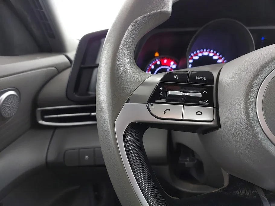 2021 Hyundai Elantra Fleet 