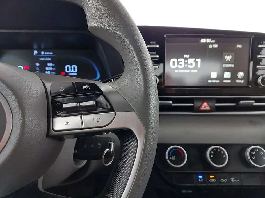 2025 Hyundai Elantra Fleet 