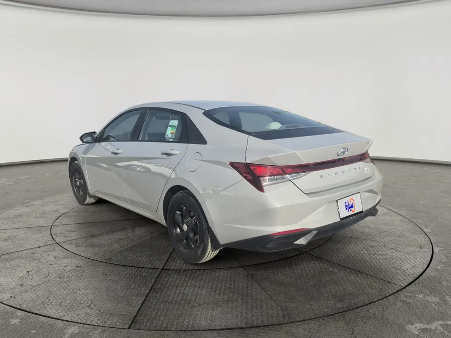 2023 Hyundai Elantra Fleet 