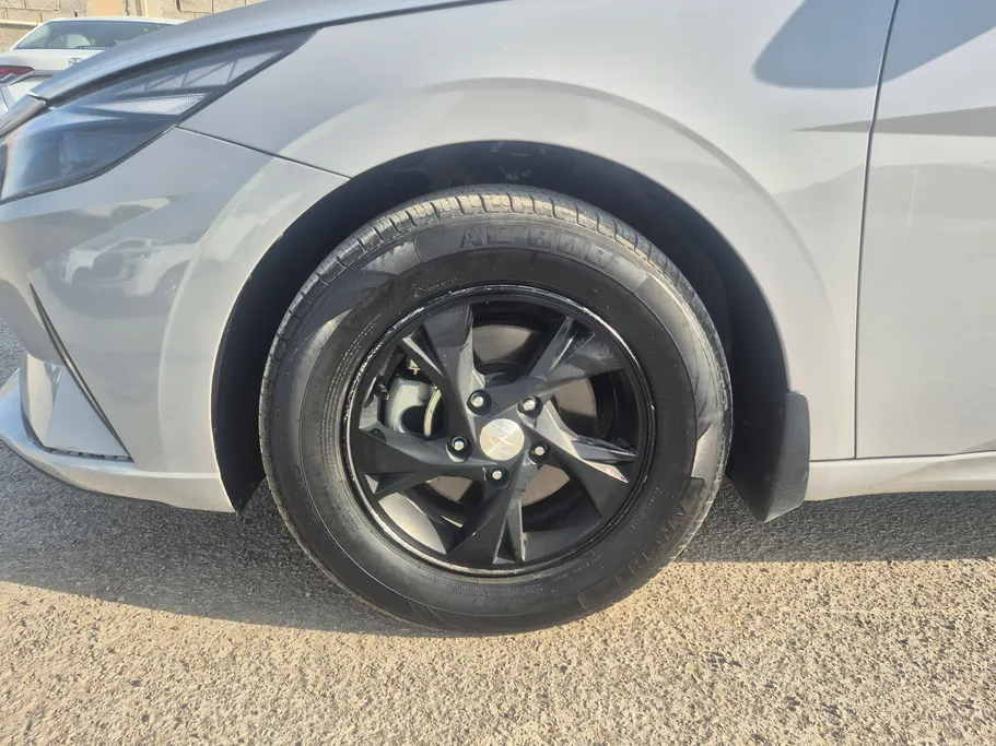 2023 Hyundai Elantra Fleet 