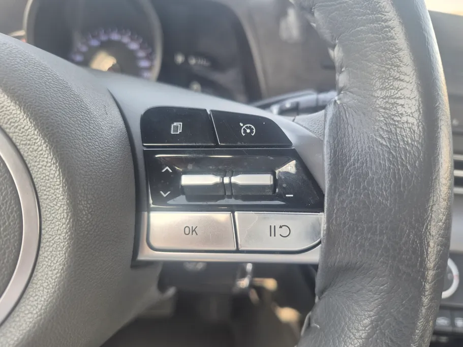 2023 Hyundai Elantra Fleet 