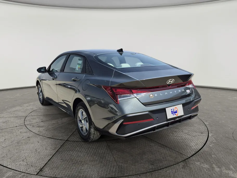 2024 Hyundai Elantra Fleet 