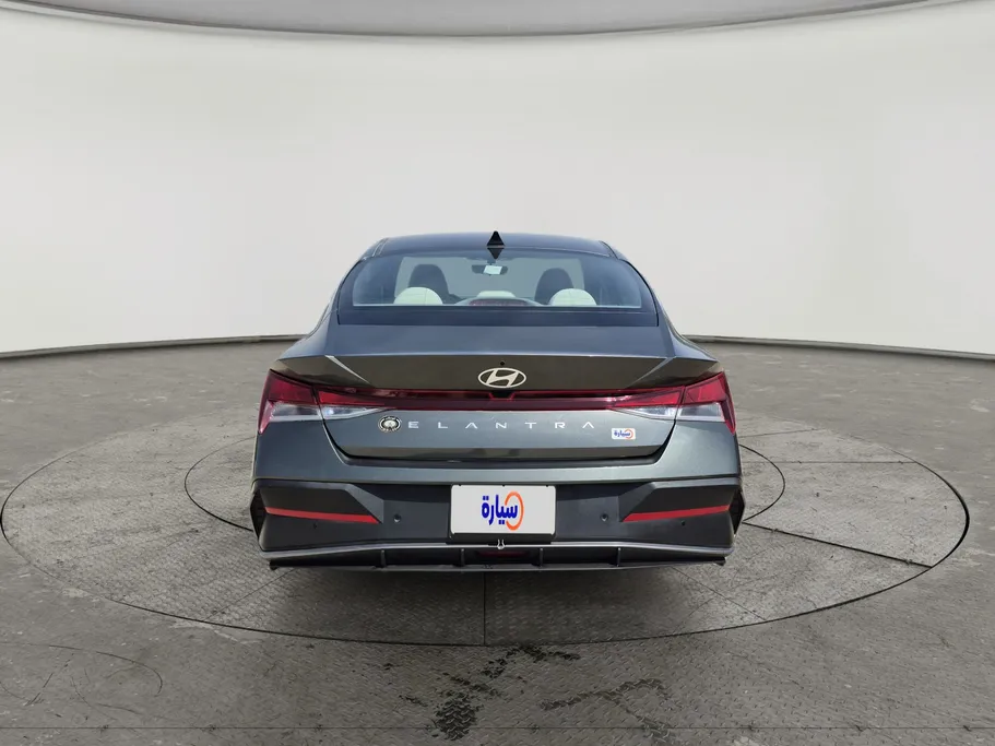 2024 Hyundai Elantra Fleet 