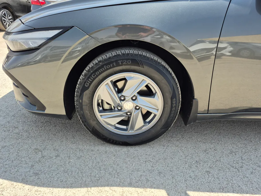 2024 Hyundai Elantra Fleet 