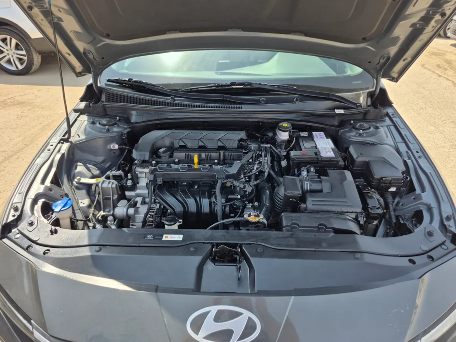 2024 Hyundai Elantra Fleet 