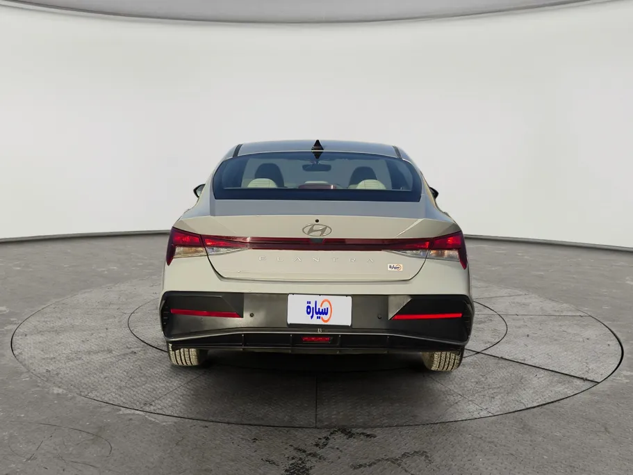 2024 Hyundai Elantra Fleet 