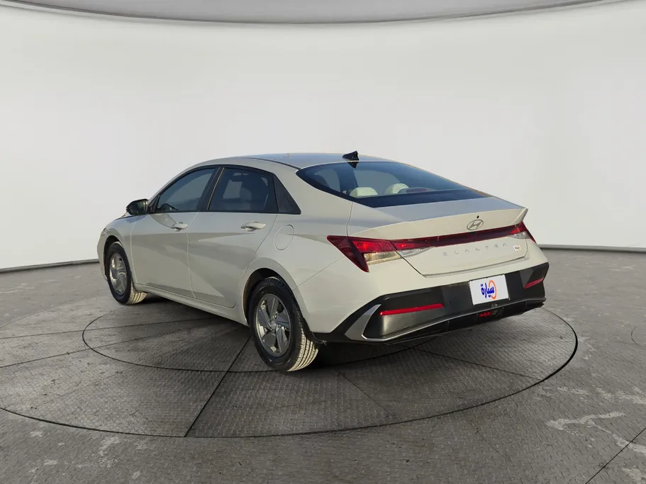 2024 Hyundai Elantra Fleet 