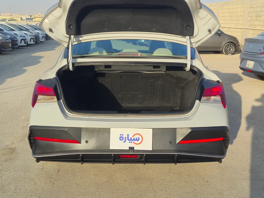 2024 Hyundai Elantra Fleet 