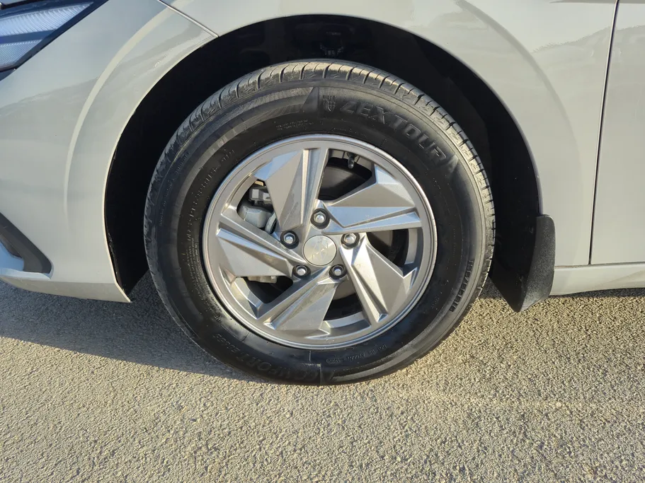 2024 Hyundai Elantra Fleet 