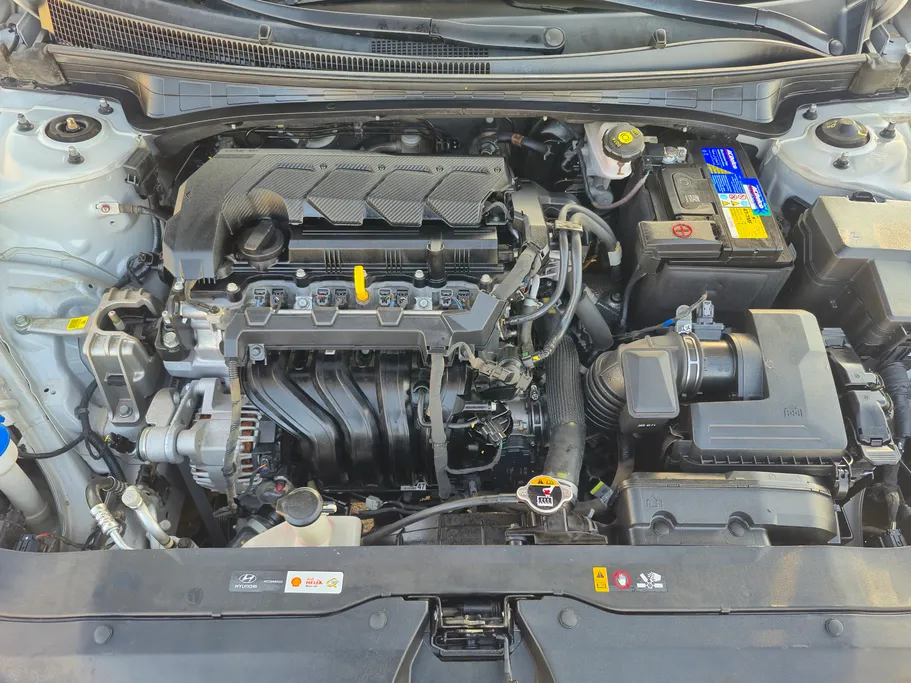 2024 Hyundai Elantra Fleet 
