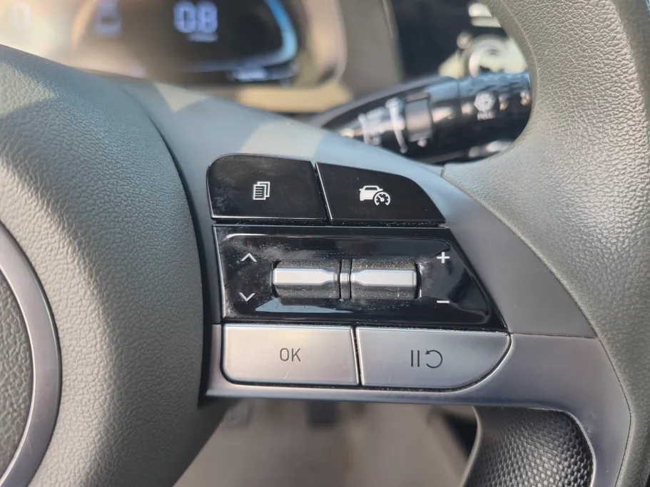 2024 Hyundai Elantra Fleet 